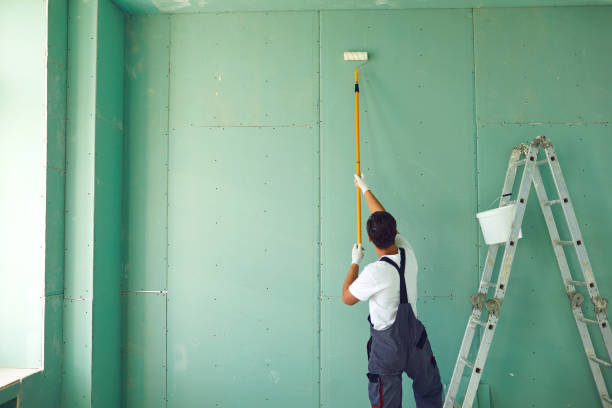 Best Emergency Mold Remediation  in Aliquip, PA