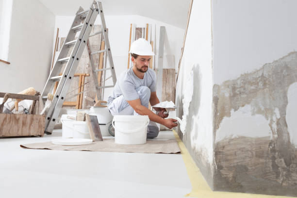 Best Industrial Mold Remediation  in Aliquip, PA