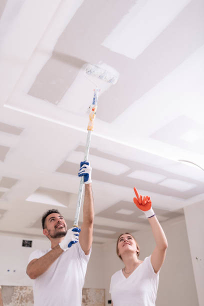Best Basement Mold Removal  in Aliquip, PA