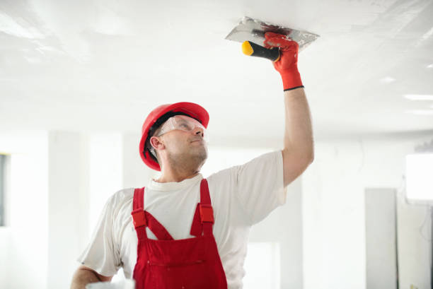 Dehumidification Services in Aliquippa, PA